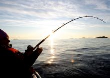 Antalya Fishing Tour