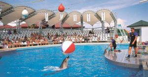 Antalya Dolphin Show