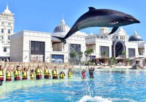 Antalya Dolphin Show