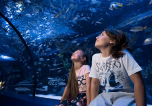 Antalya Aquarium Tour