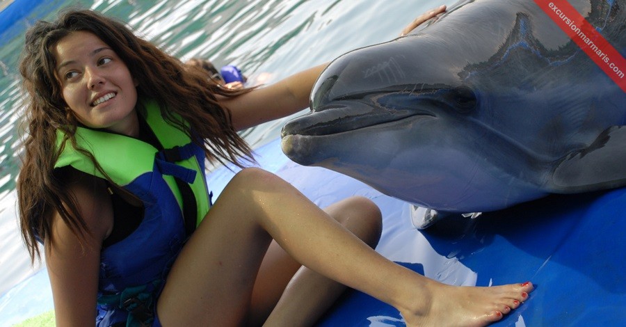 Marmaris Meet The Dolphins