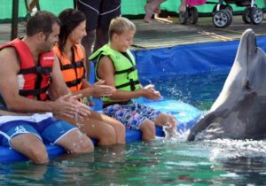 Marmaris Meet The Dolphins