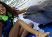Meet The Dolphins In Icmeler