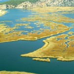 Marmaris Tours, Dalyan