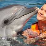 Swim With Dolphins, Marmaris