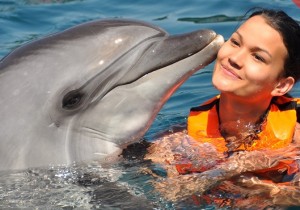 Swim with Dolphins in Turunc