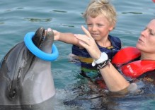 Dolphin Therapy in Marmaris