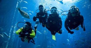 Turunc Scuba Diving
