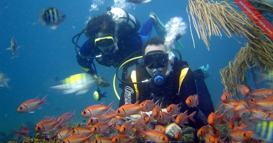 Icmeler Scuba Diving