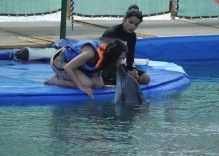 Marmaris Dolphin Park