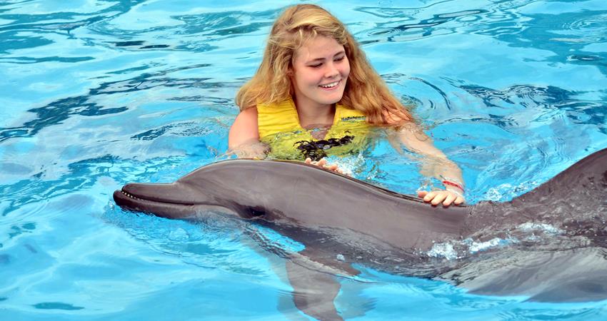 Swim With Dolphins in Marmaris