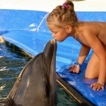 Dolphin Therapy in Marmaris