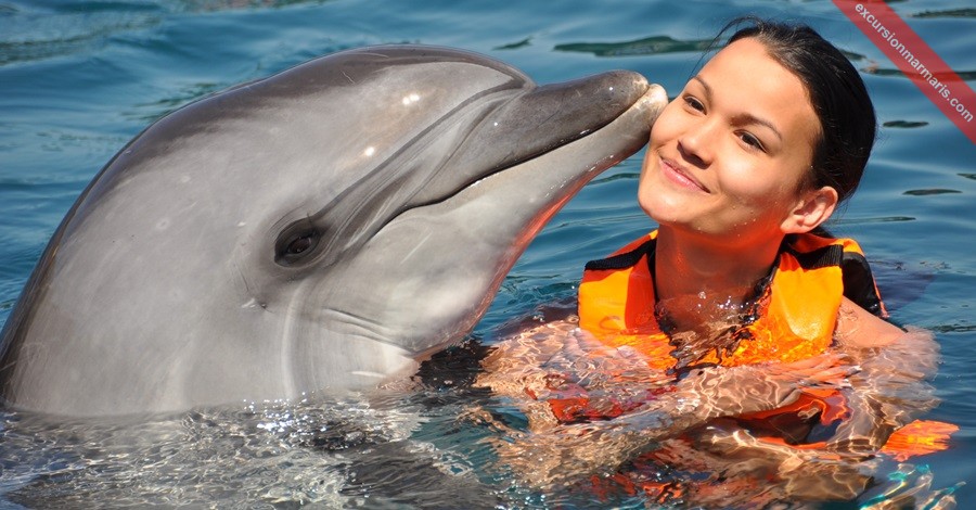 Swim with Dolphins in Turunc