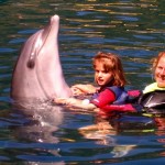 Dolphin Therapy in Marmaris