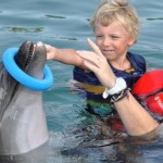 Dolphin Therapy in Marmaris