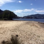 Beach at the National Park