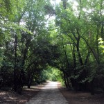 Entrance Path of the Marmaris National Park