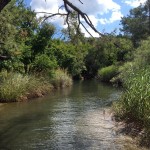 River at Marmaris National Park