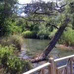 River at Marmaris National Park