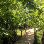 Walking Path Marmaris National Park