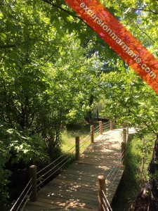 Walking Path Marmaris National Park