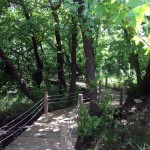 Wood Patfroms to Walk at Marmaris National Park