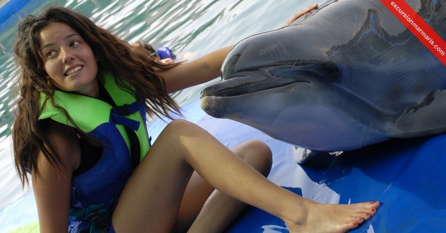 Meet the Dolphins in Turunc