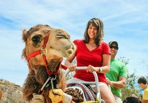 Cappadocia Camel Ride