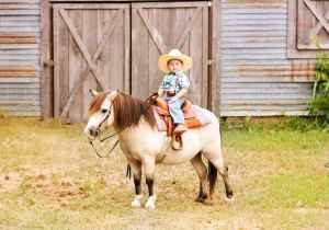 Mini Riders – Pony Fun in Marmaris